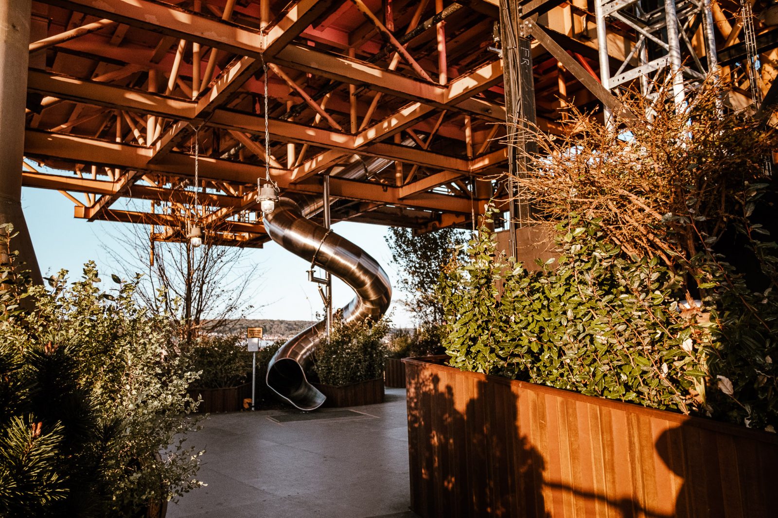 SEE MONSTER Announcement!